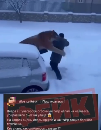 На Дальнем Востоке ролик, созданный с помощью ИИ, напугал россиян