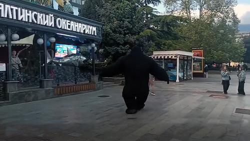 На Майские гостей в Ялте развлекал неуравновешенный Кинг-Конг